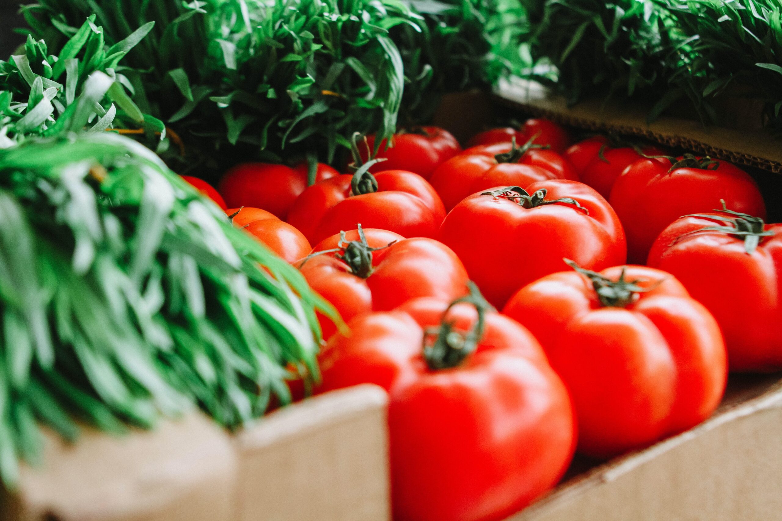 Tomatoes at a market surrounded by fresh greens