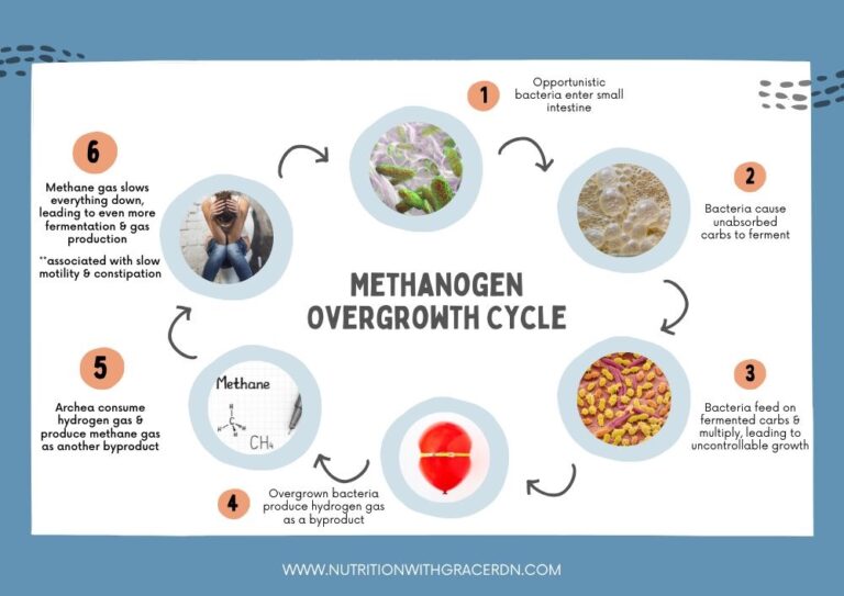 Mastering Methane SIBO: Your Ultimate Guide to Relief