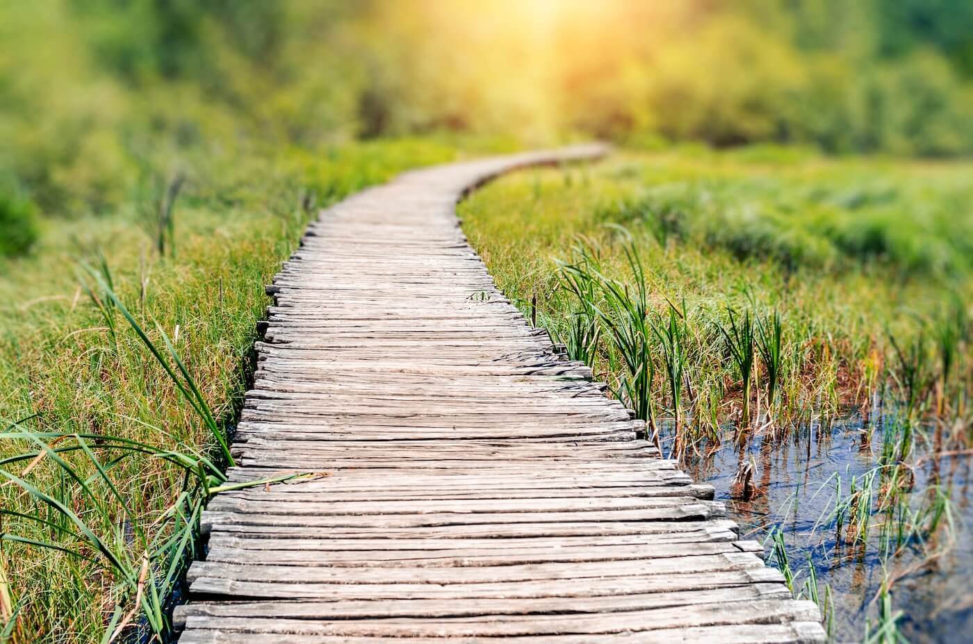 Path of wooden planks leading through a grassy marsh into the horizon at sunrise